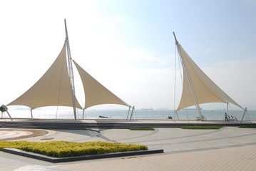 小学科学教育的目标和基本理念是什么