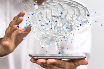 幼儿园教室都有哪些制度