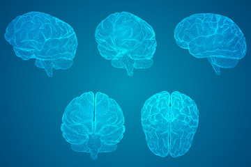 幼儿园教室都有哪些制度