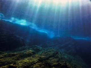 10种新奇古怪的神秘生物