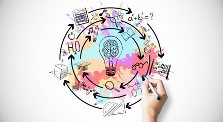 幼儿园教室都有哪些制度