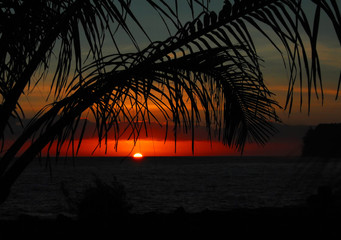 一个为建设新中国做出贡献的名人故事简便