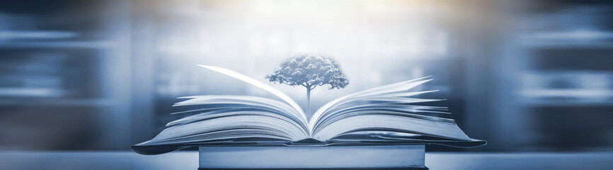 大班防溺水安全教案