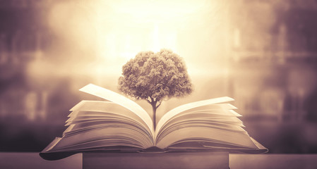 大班防溺水安全教案