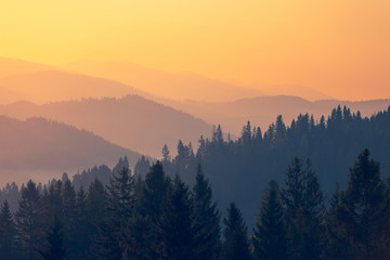如何进行中班幼儿一日常规的培养