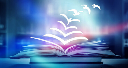 幼儿园区角活动指导要点