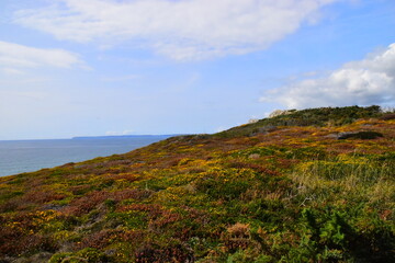 小学科学教育的目标和基本理念是什么