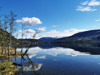 幼儿园教室都有哪些制度