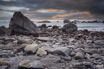 10种新奇古怪的神秘生物