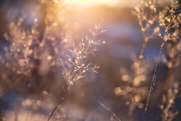 大班防溺水安全教案