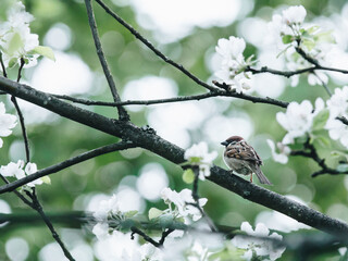 幼儿园区角活动指导要点