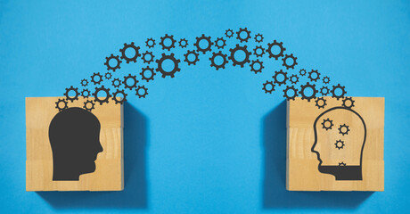 如何进行中班幼儿一日常规的培养