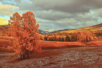 如何进行中班幼儿一日常规的培养
