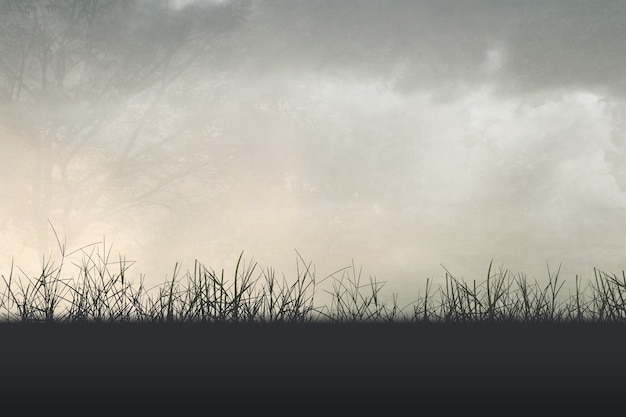 幼儿园教室都有哪些制度