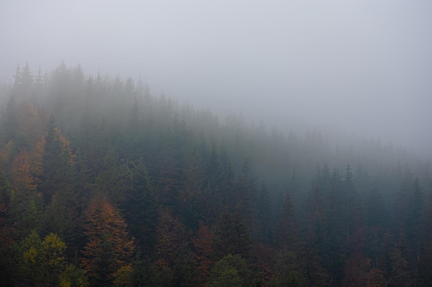 大班防溺水安全教案