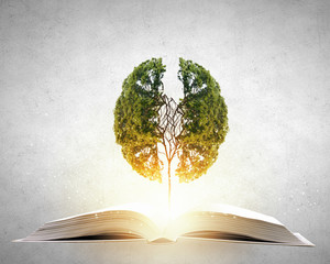 如何进行中班幼儿一日常规的培养