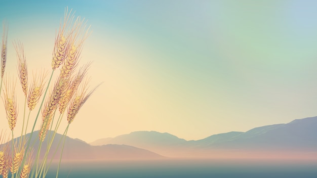 一个为建设新中国做出贡献的名人故事简便