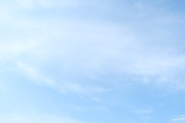 小学科学教育的目标和基本理念是什么