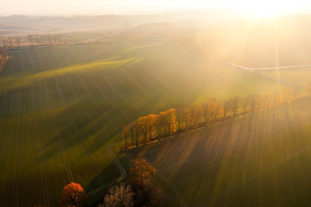 幼儿园教室都有哪些制度