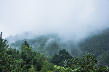 关于足球的诗歌